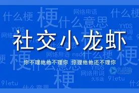 社交小龙虾是什么意思(社交小龙虾是什么梗)图片