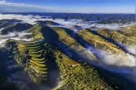 “沙地县”靖边，植绿护水做大文章图片