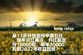 别只盯银行股，这个高股息央企每年分红两次，定投20年分红有多少图片