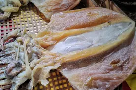 干鱿鱼不能只用水泡，海边人教你一招，泡发又快又好，干货变海鲜图片