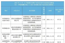 武汉多家房企项目违规信用被扣分图片