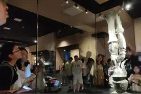 巴适！直达三星堆新馆图片