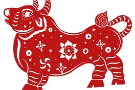 十二生肖哪一年最幸运及如何增强财运图片