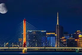 杭州楼市：这里买房流通性强抗跌！图片