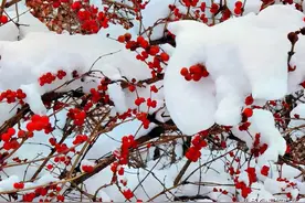 过阳平关问赵子龙遗迹图片
