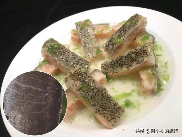 花胶和鱼皮的胶原蛋白 2026年花胶和鱼皮的胶原蛋白一样吗