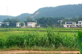 2022年农村征地又一新规登场：村委会只能留这么多补偿款图片