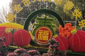 童年的年味--蒿子粑粑图片