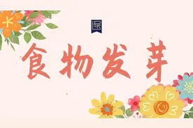 食物发芽还能吃吗？答案可能跟你想的不一样图片