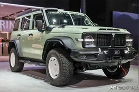 新车 | 坦克300风林铁骑02天津车展预售，增涉水喉，现款售27.08万图片