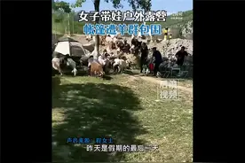 女子带娃露营帐篷遭羊群包围 被调侃这是送羊肉串来了：野外露营真火了图片