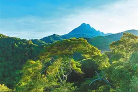 时隔24年中国再度申报！这次出手的是海南图片