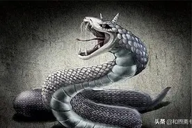 民间故事：少女在山沟玩耍，看见大蛇吞人，立即回家让母亲蒸糍粑图片