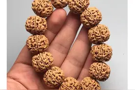 玩金刚菩提，必须先搞清楚的七个问题图片