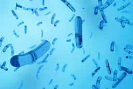 细菌图片 细菌图片大全图片