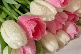 不要轻易去撩一个频繁换微信头像的男人，这是为你好图片