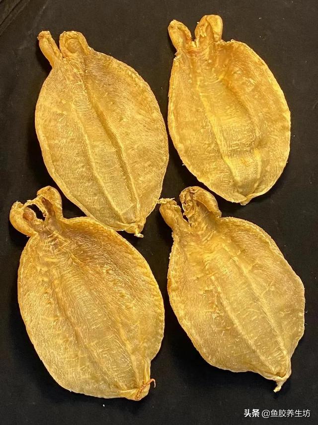 花胶 澳洲 2026年澳洲花胶液有什么好处 花胶 澳洲 2026年澳洲花胶液有什么好处