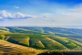 盛夏环县景旖旎图片