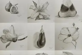 那些坚持100天画画的同学，现在都画的怎么样了？图片