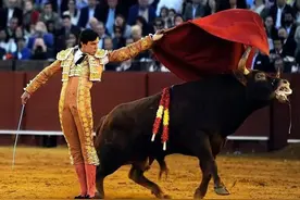 从“国技”到“禁令”，西班牙斗牛究竟经历了什么？图片