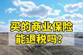 我的保险可以退税吗？图片