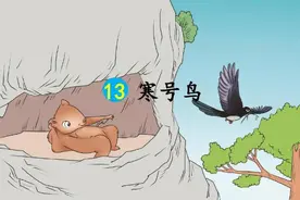 被名字带偏的“寒号鸟”，居然不是鸟？甚至都不会飞？图片