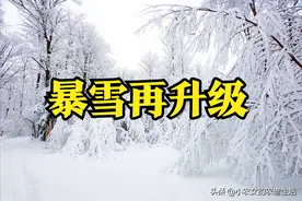 天气预报：12~15日大暴雪天气再升级，最冷春天来了？看农谚咋说图片