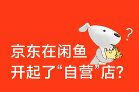 惊了！京东居然在闲鱼开起了”自营“店？夺宝岛到底是个啥？图片