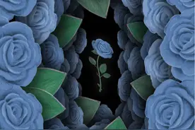 谁重感情，谁就会受伤图片