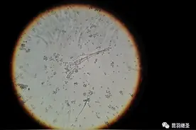 传教士编造科学伪史的过程浮出水面，直接否定伽利略等多人的发明图片