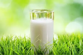 牛奶中富含防腐剂，不仅有毒还会致癌？真正要少喝的是这3种假奶图片