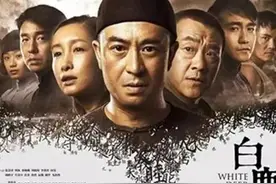 申捷改编的电视剧《白鹿原》更胜原著一筹，连陈老都赞不绝口图片