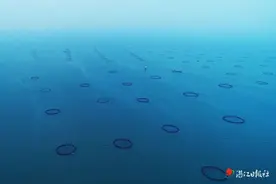 湛江“驴友”界新谚：“吃金鲳鱼，到湛江！”图片