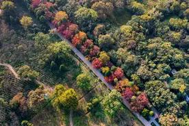 南京明孝陵里，藏着多少秘密？图片