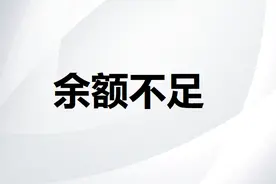 格力电器：可动用现金不足偿还短期借款图片