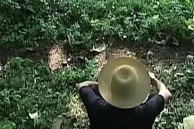 湖南村民身中蛇毒，老汉施展秘术招毒蛇救命，难道真有控蛇奇术？图片