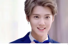 顶流明星鹿晗究竟有多少钱？他的代言费至少也是8000W起步图片