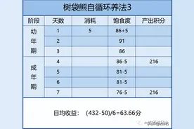 树袋熊—你最适合的牧场养法图片