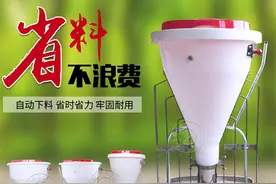 育肥猪选择这种自动料槽怎么样？图片