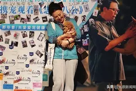 太原万达影城：带着狗狗看电影 最萌观众有“规矩”图片