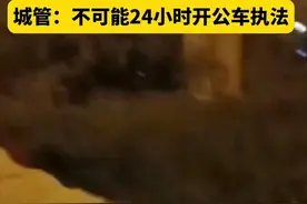 城管别车砸窗后续：车主报警、拒绝私了，城管摊上大事了！图片