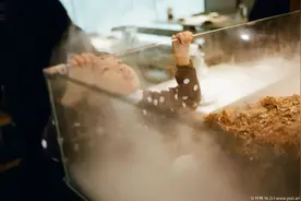 照片不清楚？相机跑焦？怎么破！| 摄影早自习第1784天图片