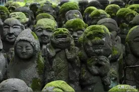 一部发生故障的电梯，让人看尽荒诞现实的影像图片