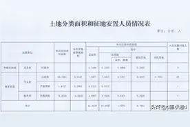 重庆12地发布公告！这些地方将征地拆迁！图片
