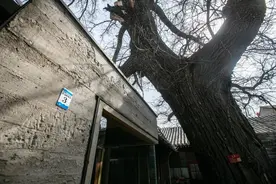 西城典靓 | 这些带儿化音的胡同图片