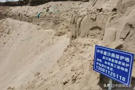 筑围堰防水，石家庄崖沙燕栖息地增至6处｜为施工方主动保护点赞图片