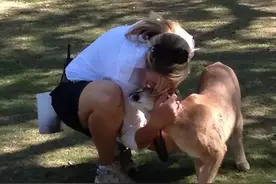 1998年，美国女子被温顺宠物犬折磨致死，警方：它是受人指使的图片