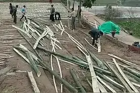 竹子当钢筋用，不知道竹子会腐烂，为何农村人硬要做这无稽之事图片