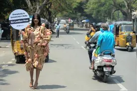 34张大开眼界照片，澳洲女大力士硬拉600斤花岗岩，非黑白的企鹅图片