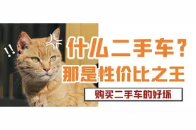 买二手车的好处与坏处图片